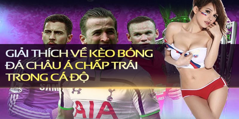 Giải thích các tỷ lệ cược HDP nổi bật